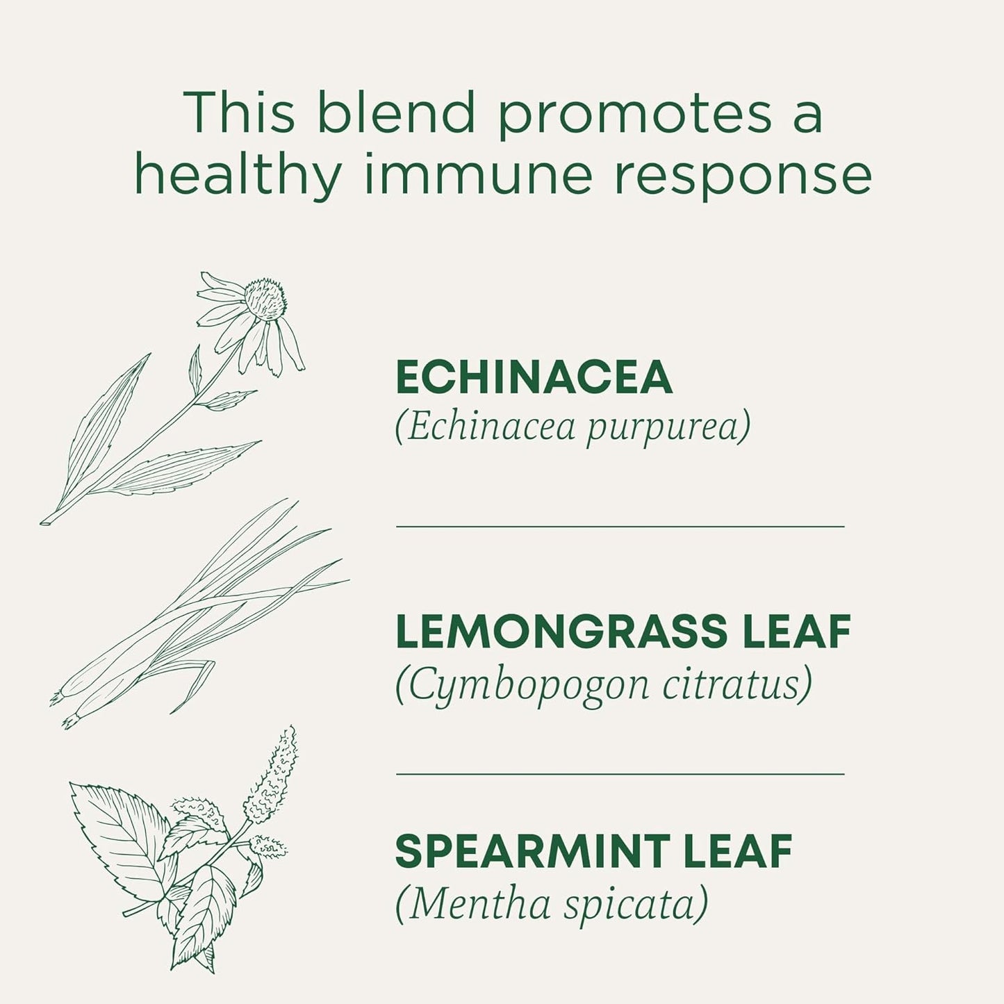 Tea, Organic Echinacea Plus, Promotes Immune Function, W/Spearmint, 16 Tea Bags TLBH