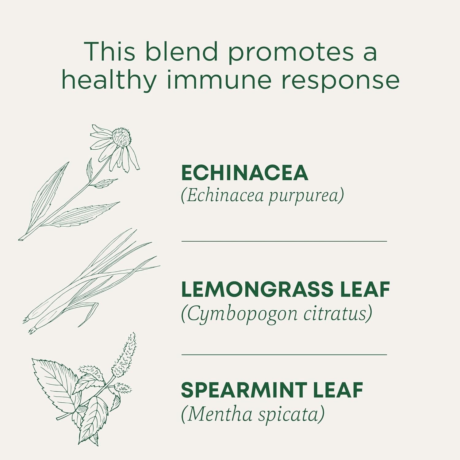 Tea, Organic Echinacea Plus, Promotes Immune Function, W/Spearmint, 16 Tea Bags TLBH