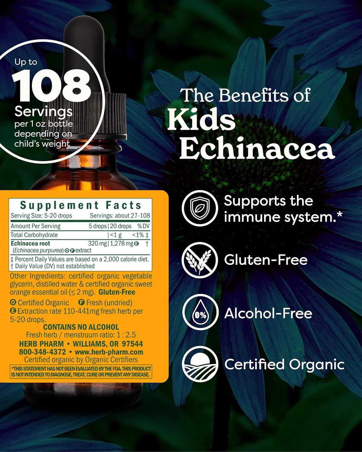 Kids Certified-Organic Alcohol-Free Echinacea Glycerite Liquid Extract, 1 Ounce TLBH