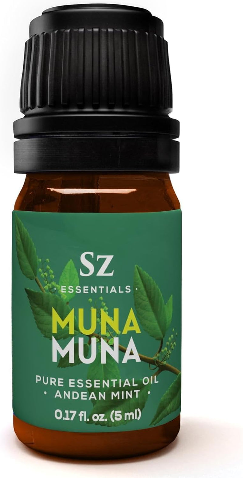 Peppermint Essential Oil - Sweet Candy Cane Scent! the Real Deal - 100% Pure and Natural - Undiluted - 5Ml TLBH