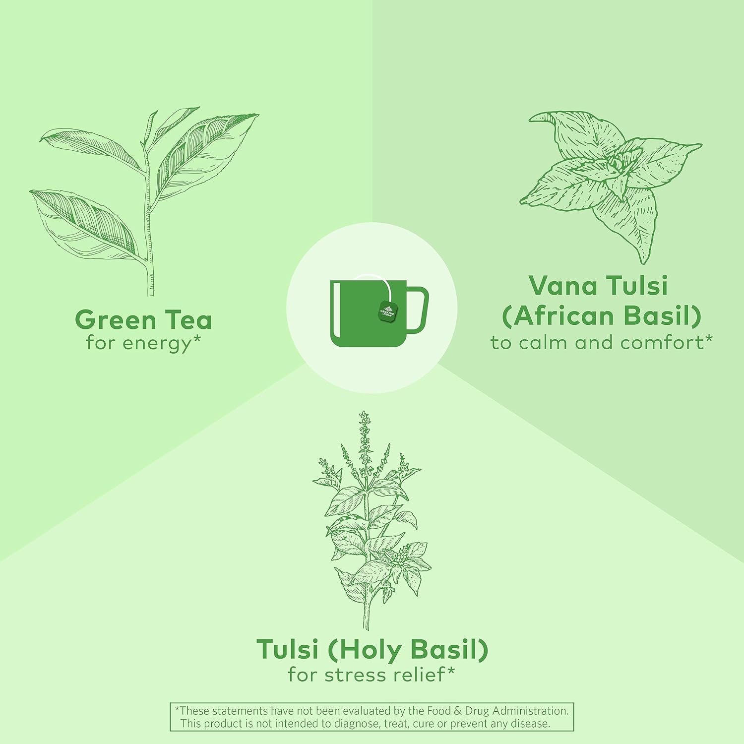 Tulsi Green Tea Bags - Holy Basil Tea, African Basil, Stress Relieving, Immune Support, USDA Certified Organic, Premium Darjeeling Green Tea, Caffeinated - 18 Infusion Bags, 1 Pack TLBH