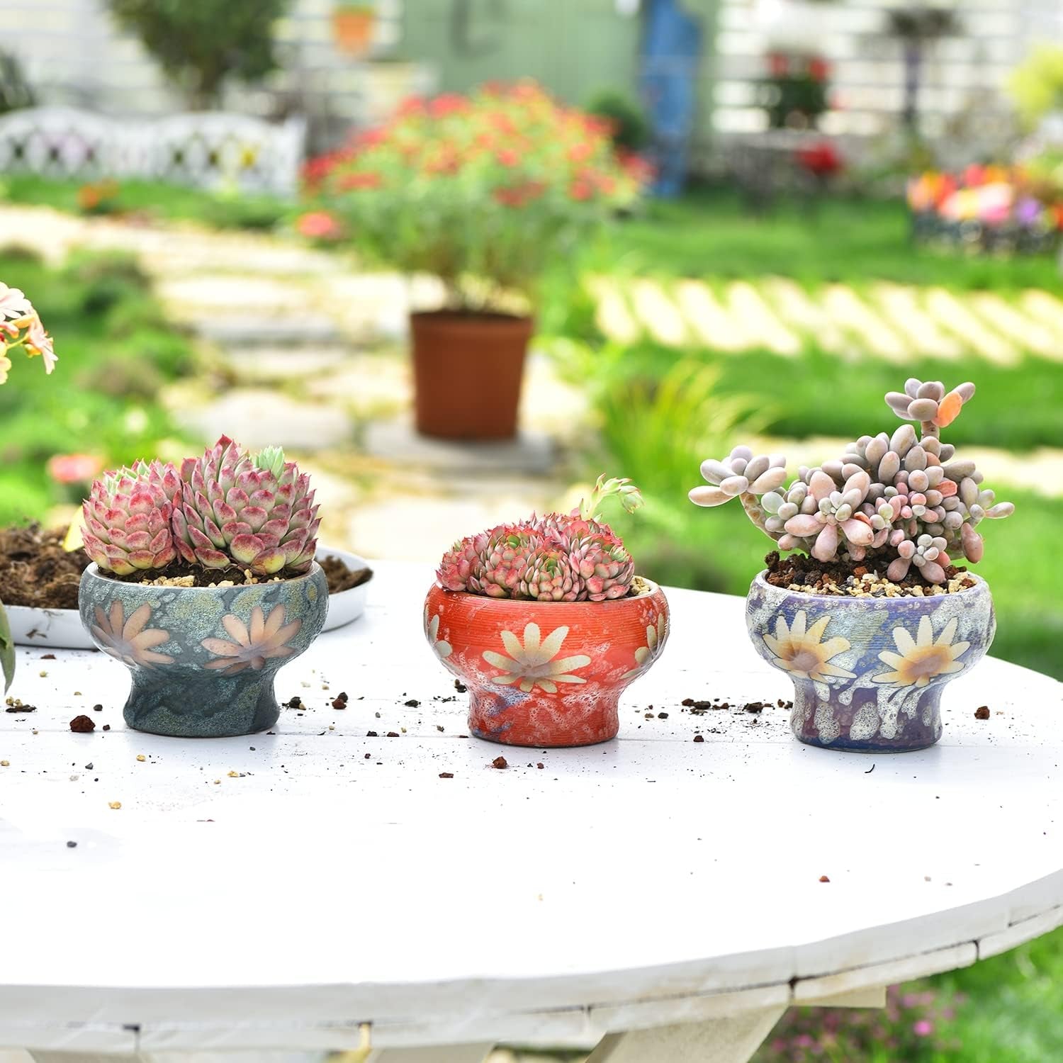 Small Succulent Planters Set of 3, Beautiful Hand Crafted Ceramic Plant Pots Cute Cactus Pot, 4.9 Inch Flower Pots for Indoor Plants with Drainage, Desktop Windowsill Home Office Decor Pots