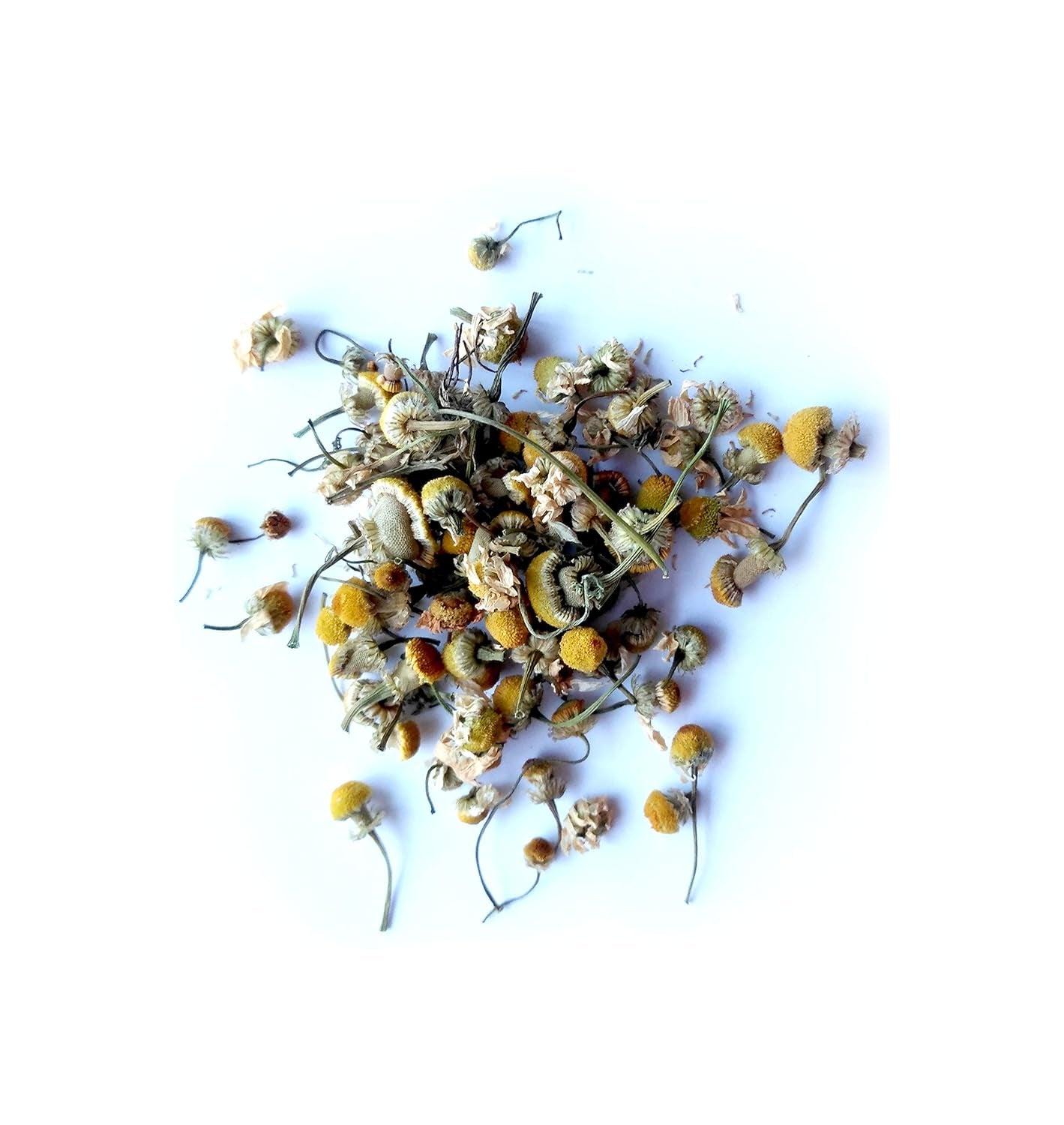 Reiki Charged Chamomile Flowers Matricaria Chamomilla Wildcrafted in Egypt Dried Loose Leaf for Tea .2 Oz Bag Small Sample TLBH