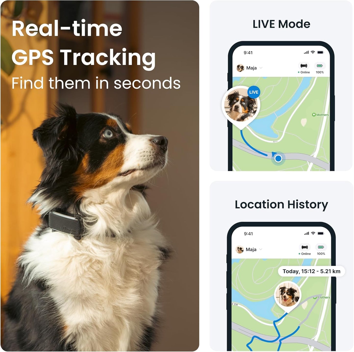 GPS Dog Tracker (2025 Release) | Real-Time Pet Location Tracker | Health & Wellness Alerts | Virtual Fence for Dogs | Bark Monitoring | Dog Collar Attachment (Black) TRUCK DRIVER