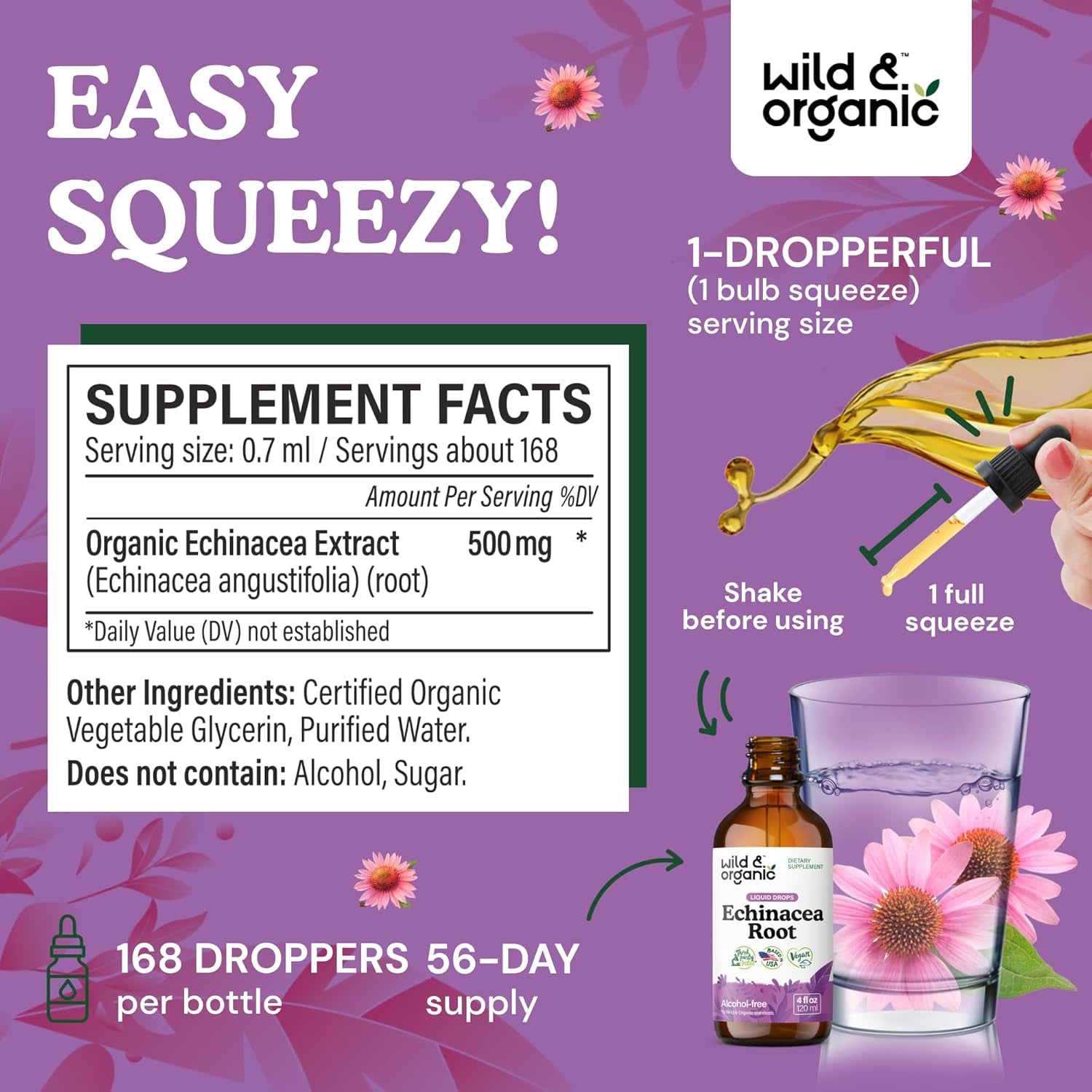 Echinacea Drops - Immune Support Supplement with Echinacea Angustifolia - Liquid Root Extract Tincture - Vegan, Sugar & Alcohol-Free - 4 Fl Oz TLBH
