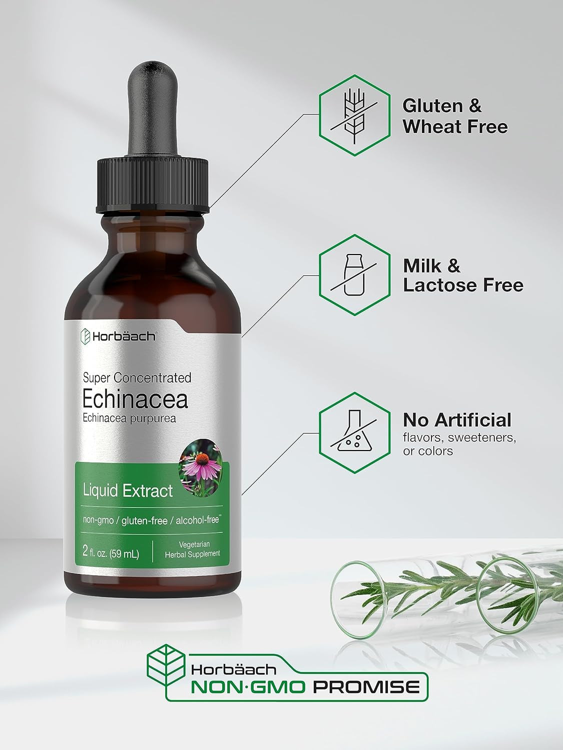 Echinacea Drops Liquid Extract | 2 Fl Oz | Super Concentrated Tincture | Alcohol Free, Vegetarian, Non-Gmo, and Gluten Free TLBH