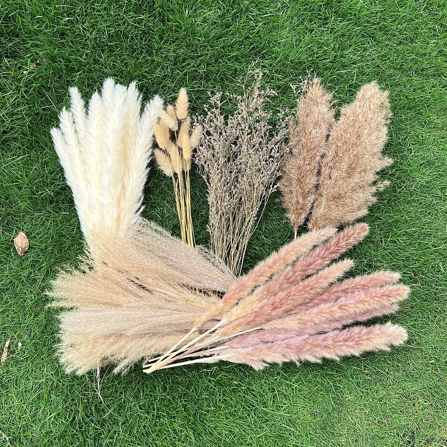 100Pcs Pampas Grass Boho Home Decor 17 Inch Natural Dried Flowers-Pampas Grass Contains Bunny Tails White Pampas Brown Pampas.Boho Decor for Farmhouse Wedding Boho Wall Bathroom Office Kitchen…