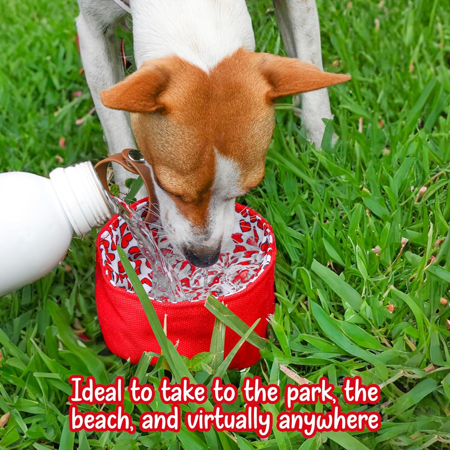 Foldable Dog Bowl Puppy Must Have