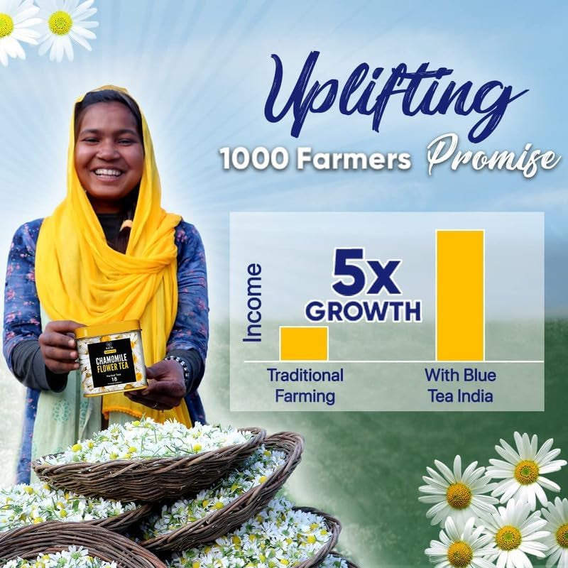 - Chamomile Tea - 1.05 Oz - 30+ Cups - Loose | SLEEP TEA | Herbal Tea - Caffeine Free - Flower Based - Vegan - Non-Bitter- Non-Gmo - Natural Ingredients | Pet Jar Packaging TLBH