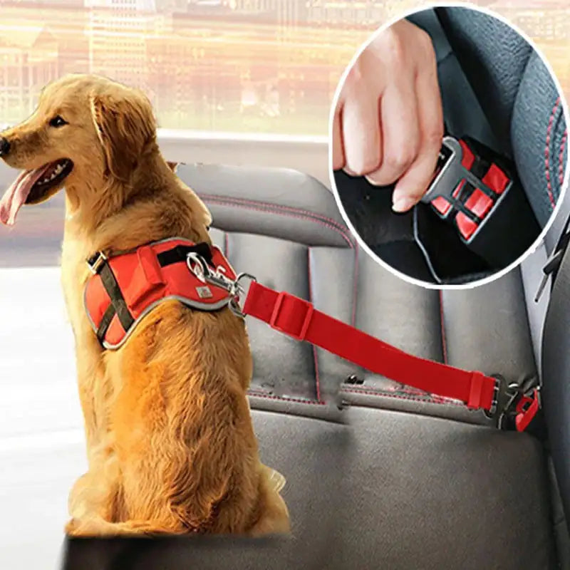 PawBelt Retractable Pet Safety Leash & Car Seat Belt