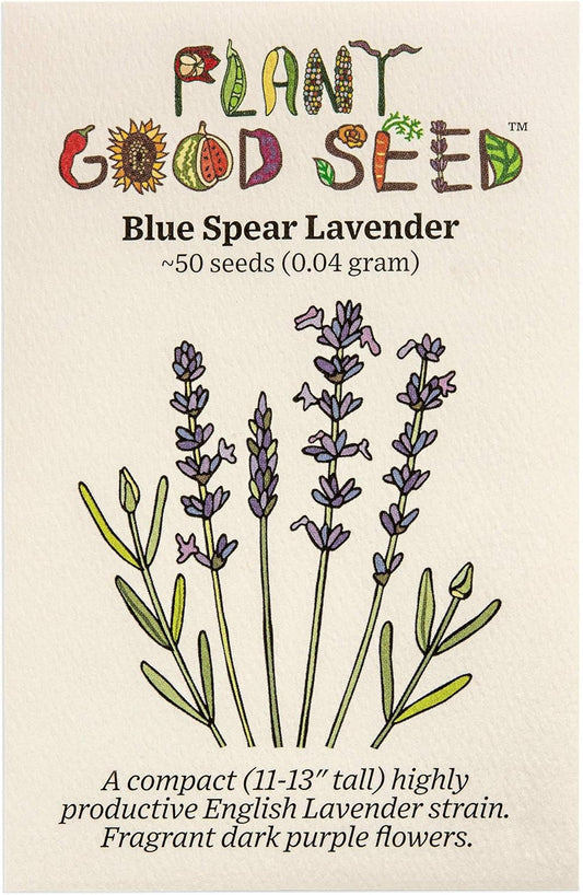 Blue Spear Lavender Seeds - Pack of 50, Heirloom Seeds for Planting Herbs, Flowers - Gardening Supplies, Wildflower, Herb Garden, Flower Seeds to Plant outside - from USA TLBH