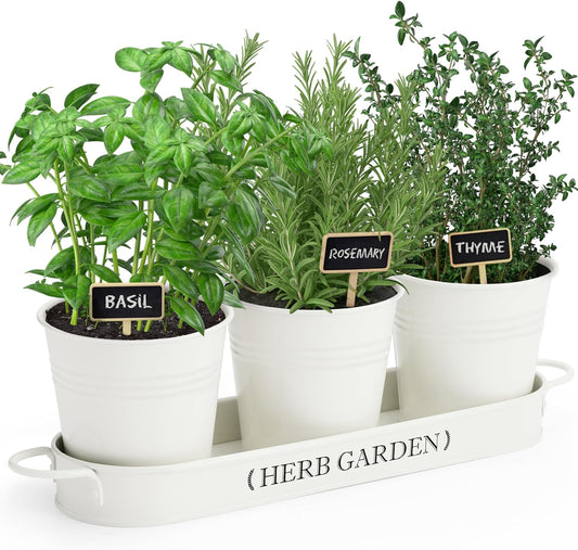 Indoor Herb Garden, Herb Garden Planter for Indoor/Outdoor, Farmhouse Plant Pots, Windowsill Herb Garden with Tray(Planter Only) Window Pots