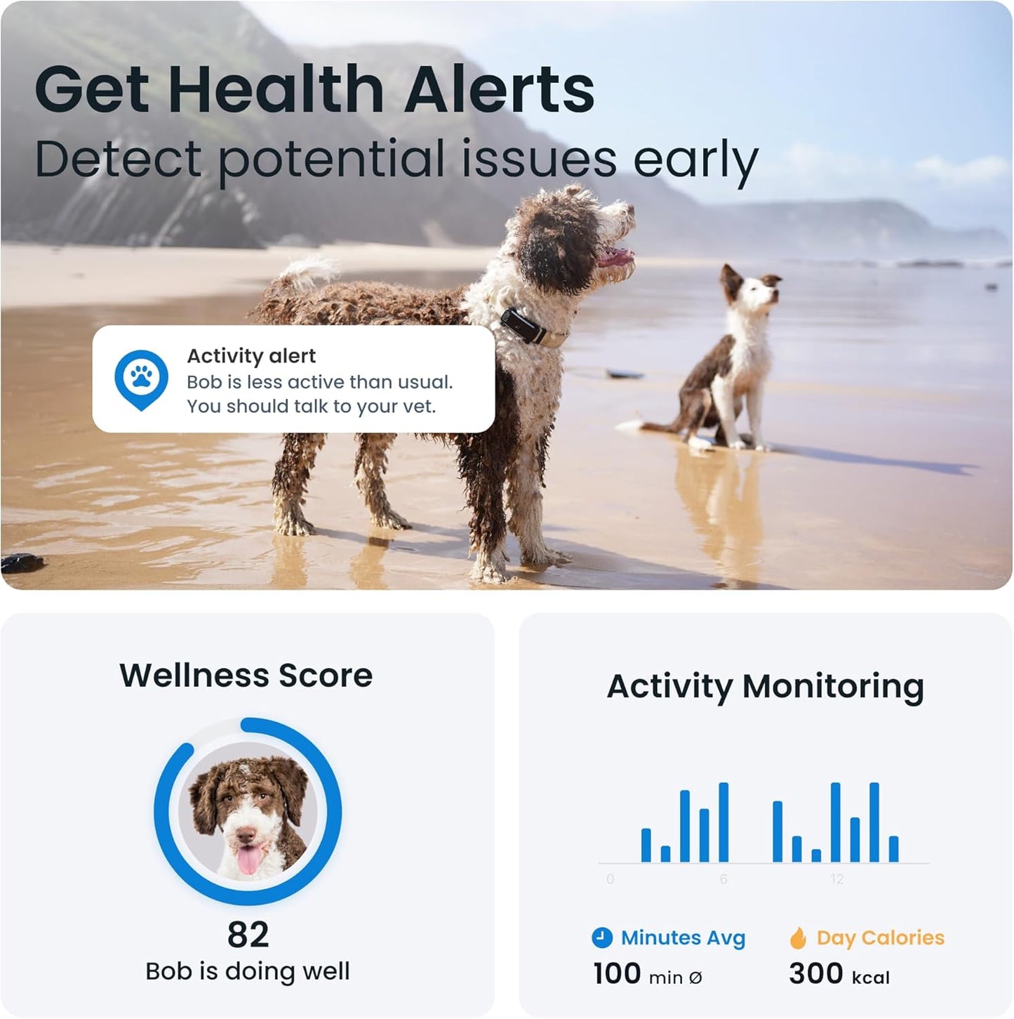 GPS Dog Tracker (2025 Release) | Real-Time Pet Location Tracker | Health & Wellness Alerts | Virtual Fence for Dogs | Bark Monitoring | Dog Collar Attachment (Black) TRUCK DRIVER