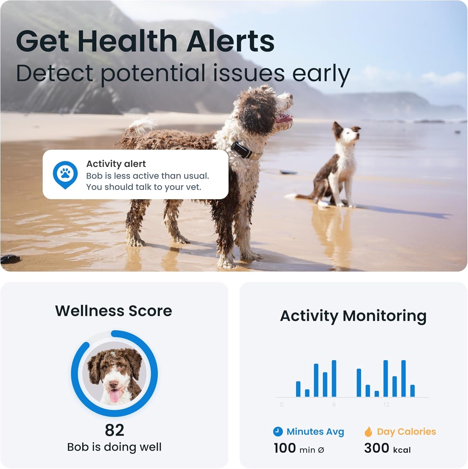 GPS Dog Tracker (2025 Release) | Real-Time Pet Location Tracker | Health & Wellness Alerts | Virtual Fence for Dogs | Bark Monitoring | Dog Collar Attachment (Black) TRUCK DRIVER