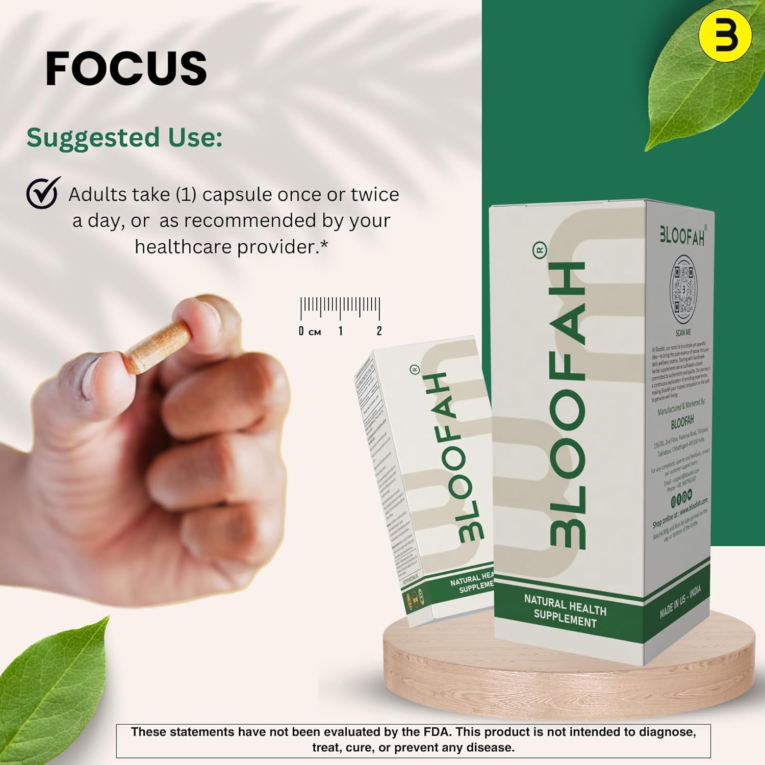 Garlic Capsules 500Mg | Concentration of 10:1 Extract Powder |Allium Sativum Herbal Supplement | Natural, Non-Gmo, Gluten-Free, No Artificial Additives (60 Count (Pack of 1)) TLBH