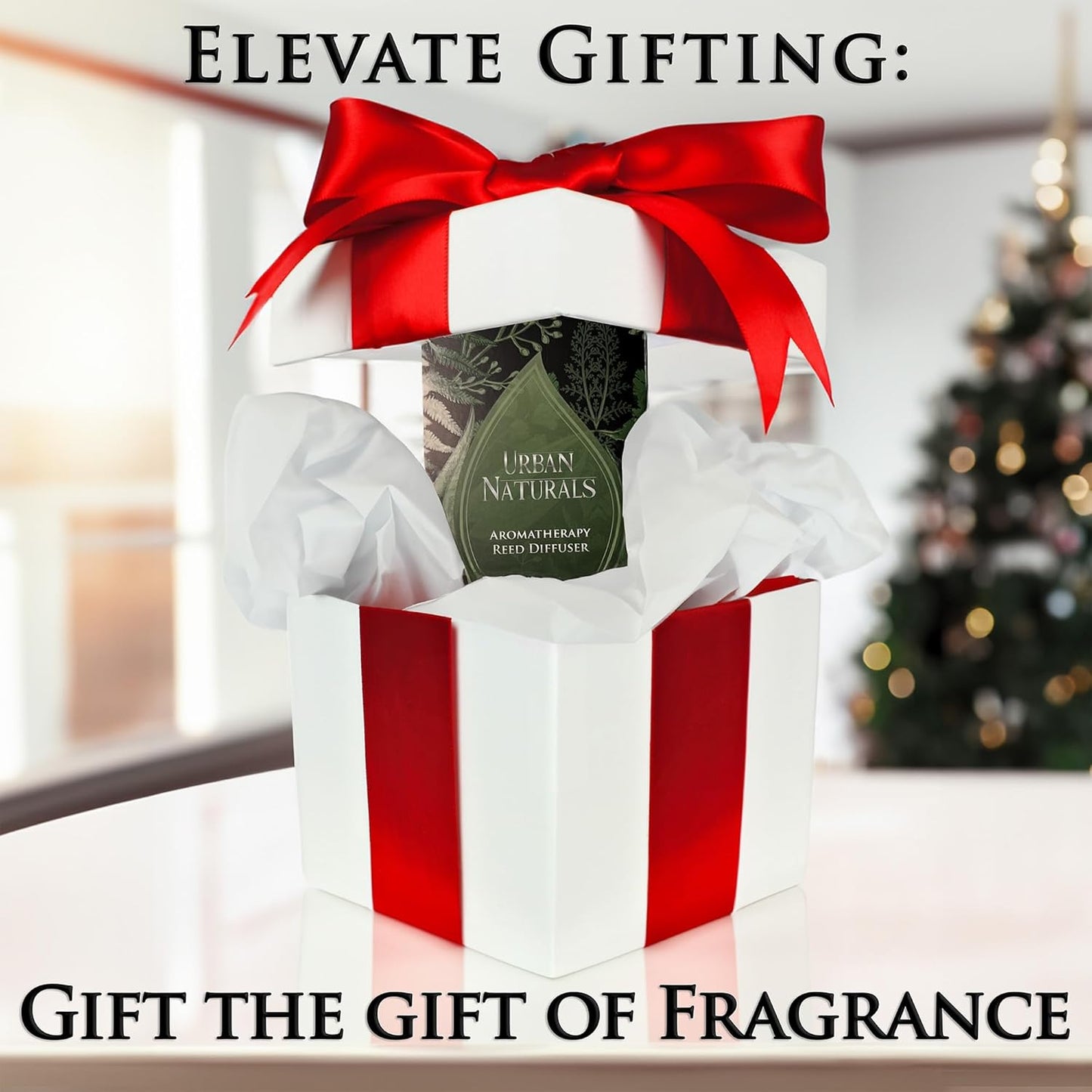 Christmas Morning Reed Diffuser Set – Aromatic Rosemary, Eucalyptus, Balsam Spruce, Orange, Cedar & Amber – Sleek Rectangular Refillable Glass Bottle – Made in the USA