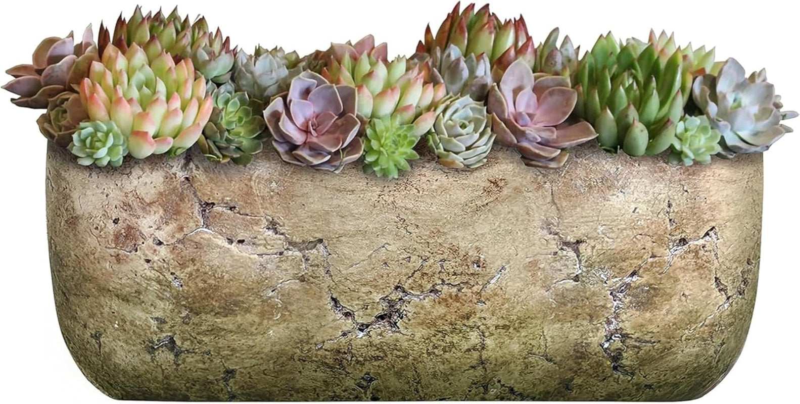 Cement Indoor Outdoor Planter with Drainage Hole, Dakota Trough Planter, Earth Moss Gray, Large, 8In