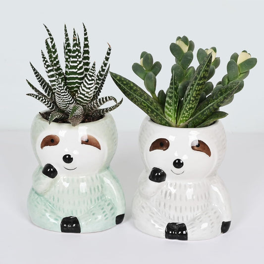 Cute Sloth Succulent Planter - Ceramic Cartoon Pot with Drainage Hole - Adorable Windowsill Decoration - Ideal for Cactus and Succulents