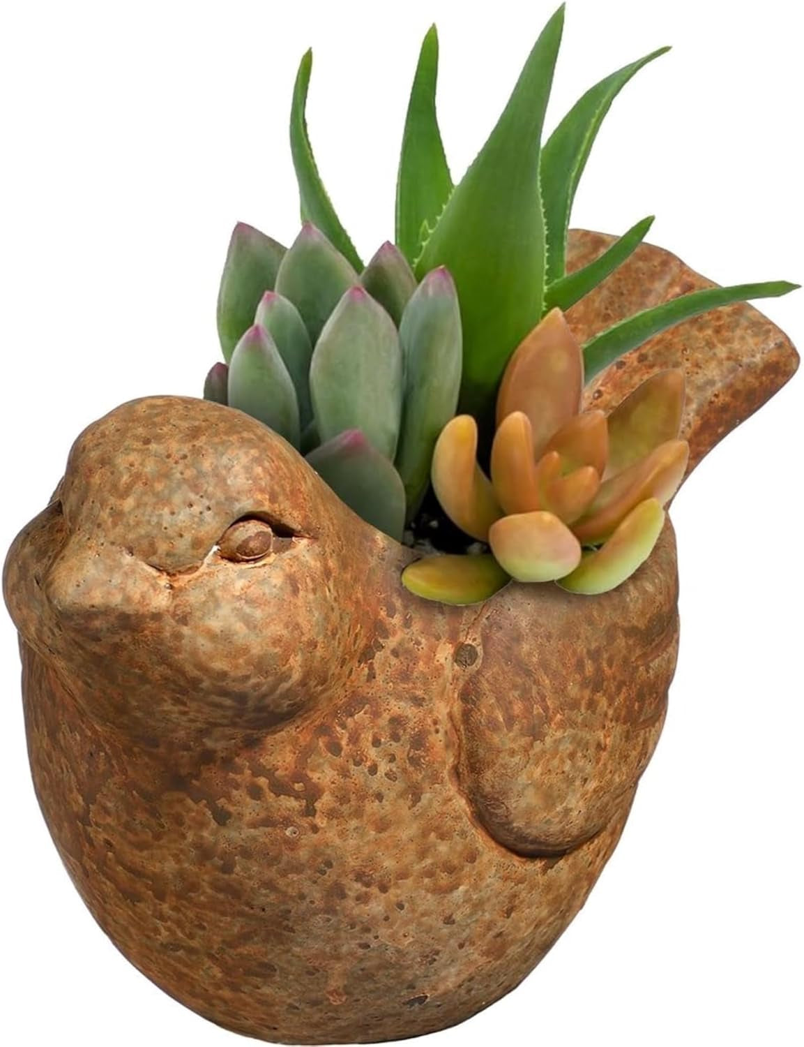 Cement Buddies Indoor Outdoor Bird Planter, Rust, Small, 6"