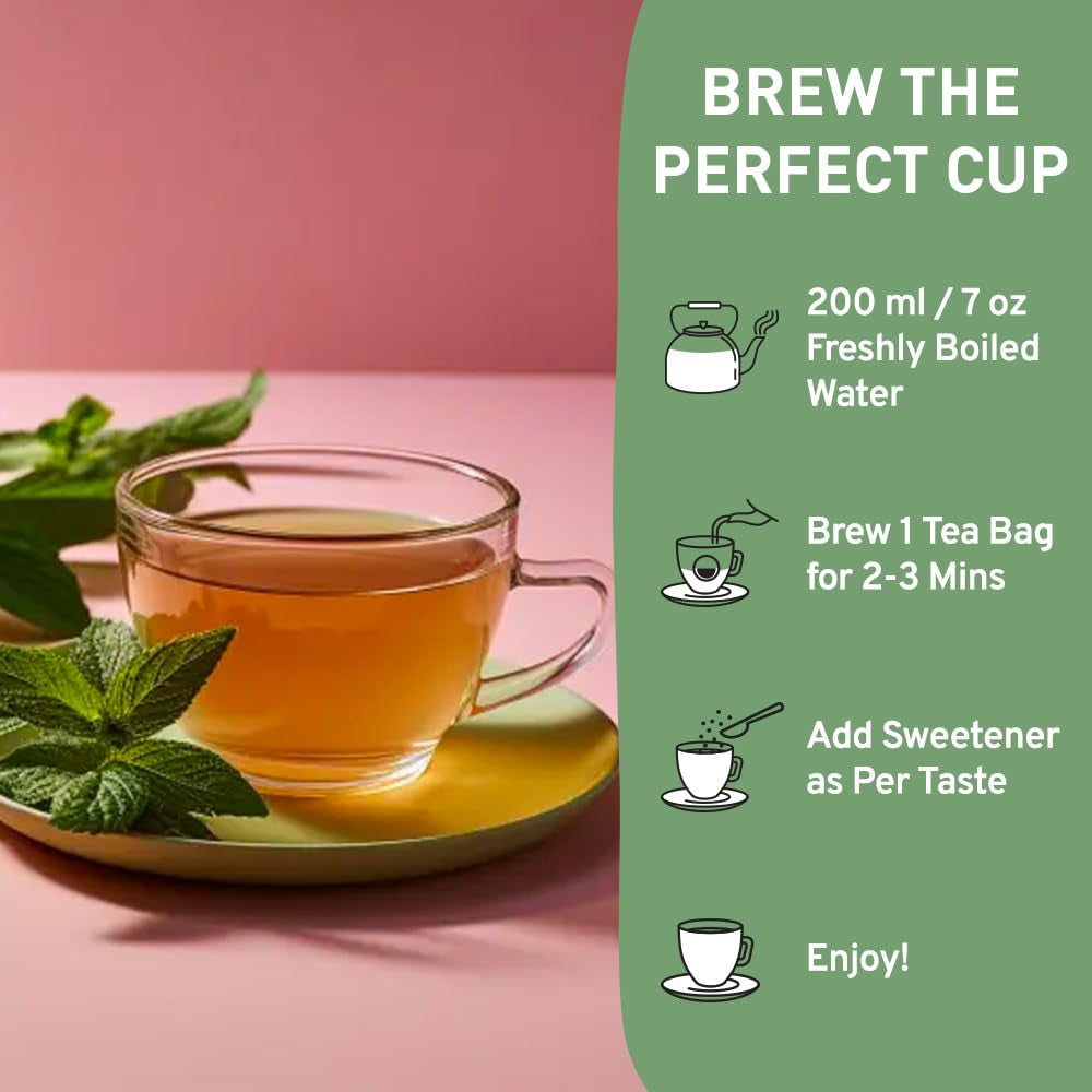 Holy Basil Tea Bags (100 Count) - Caffeine Free, Non-Gmo Tulsi Leaves - round Herbal Tea Bags TLBH