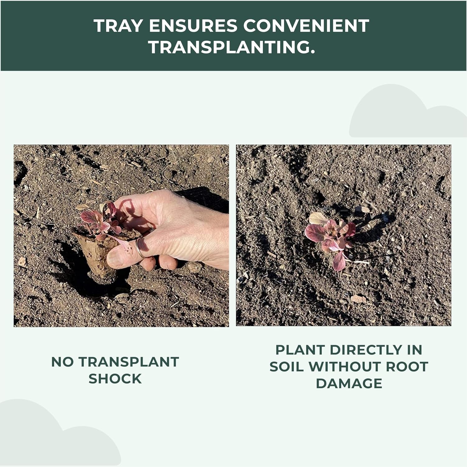 Biodegradable Seed Starter Kit (5 Pack)- Eco Friendly Recycled Paper Pulp Plant Pots, Plant Trays, Humidity Dome and Fiber Potting Soil, Herb Garden Kit Indoor Windowsill, Garden Gift