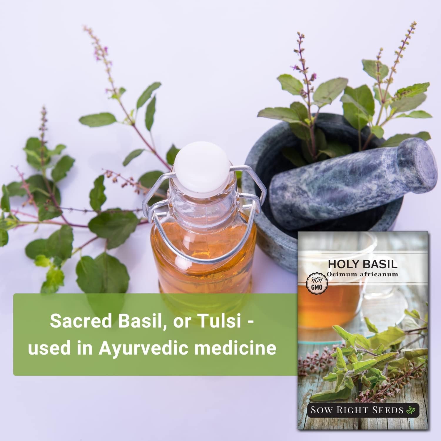 - Holy Basil Tulsi Seed for Planting - Culinary Herb to Plant in Your Garden - Indoors or Outdoors - Ayurvedic Medicine and Tea - Non-Gmo Heirloom Seeds - Great Gardening Gift (1) TLBH