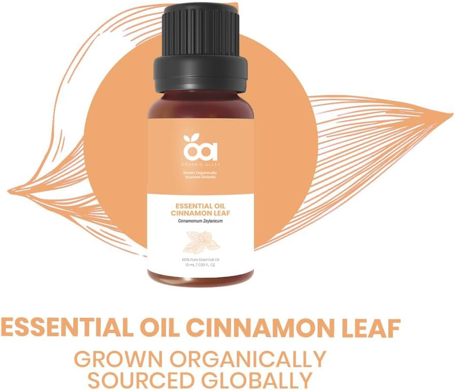 Cinnamon Leaf Essential Oil by  | 100% Pure & Natural Cinnamomum Verum Essential Oil | Perfect for Aromatherapy & Home Fragrance (0.33 Fl Oz, Cinnamon Leaf) TLBH