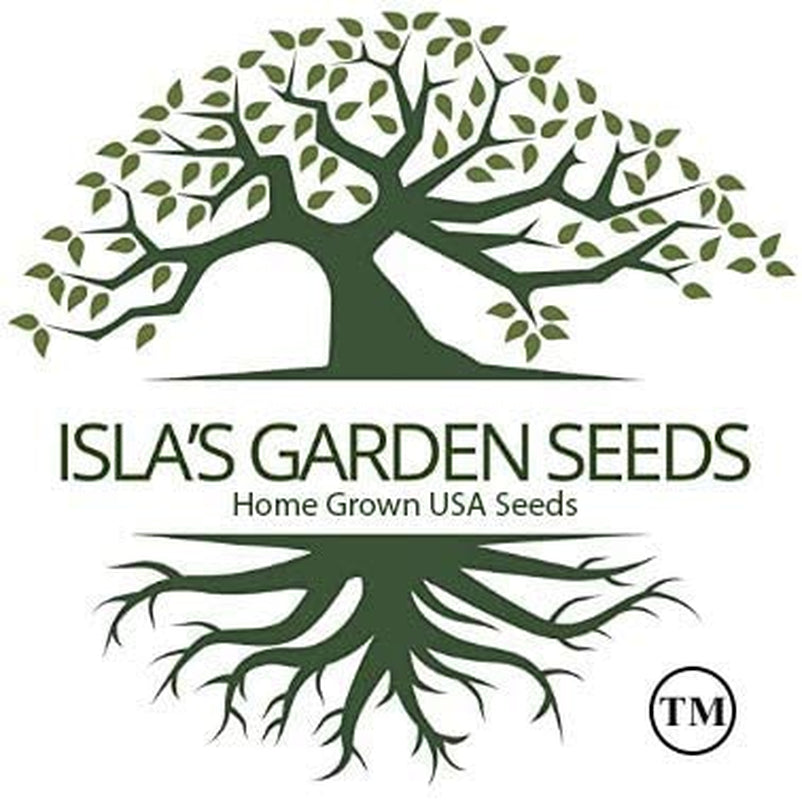 Common German Chamomile Flower/Herb Seeds for Planting, 1000+ Seeds per Packet, (), Non GMO & Heirloom Seeds, Botanical Name: Matricaria Chamomilla, Great Herb Garden Gift TLBH