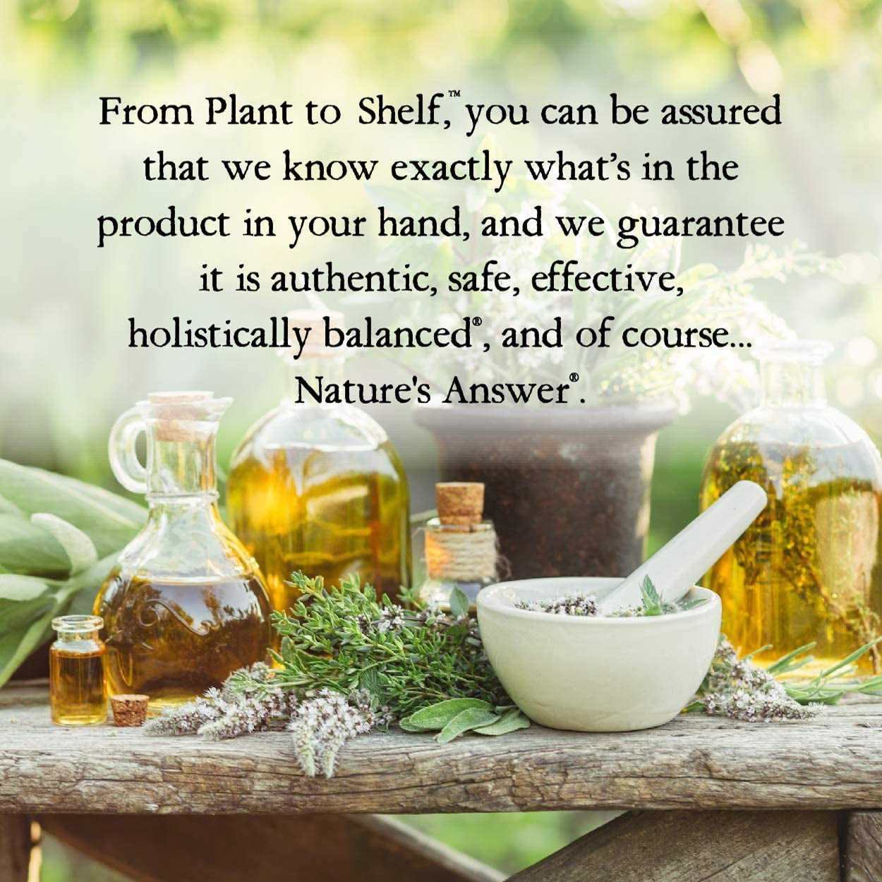 Chamomile Flower with Organic-Alcohol 2000Mg 1Oz Extract | Mood Support | Digestion Support | Gluten-Free, Non-Gmo, Vegan, No Artificial Flavors or Preservatives | Single Count TLBH