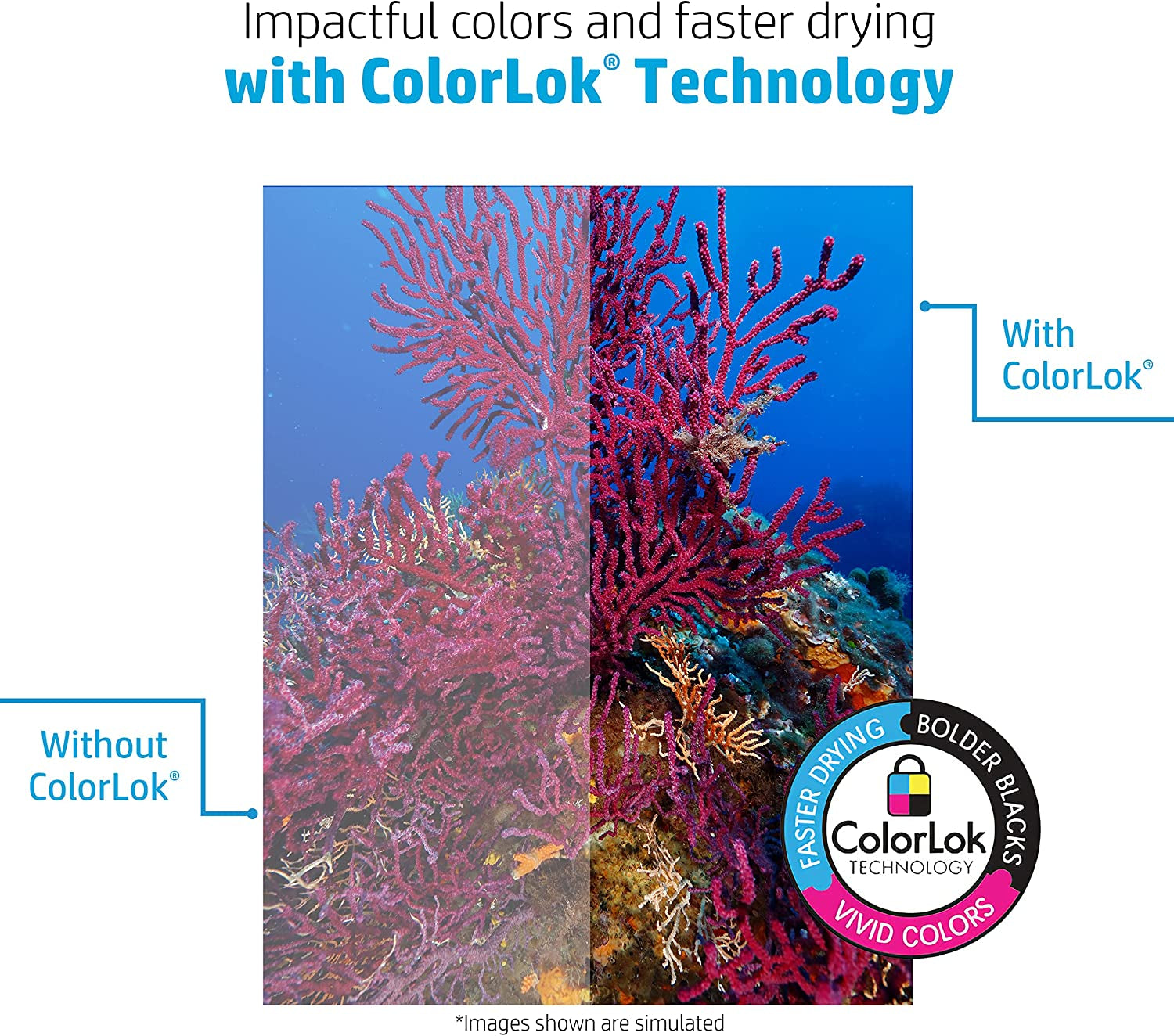 HP Printer Paper | 8.5 X 11 Paper | Copy &Print 20 Lb | 1 Ream Case - 500 Sheets| 92 Bright | Made in USA - FSC Certified | 200060