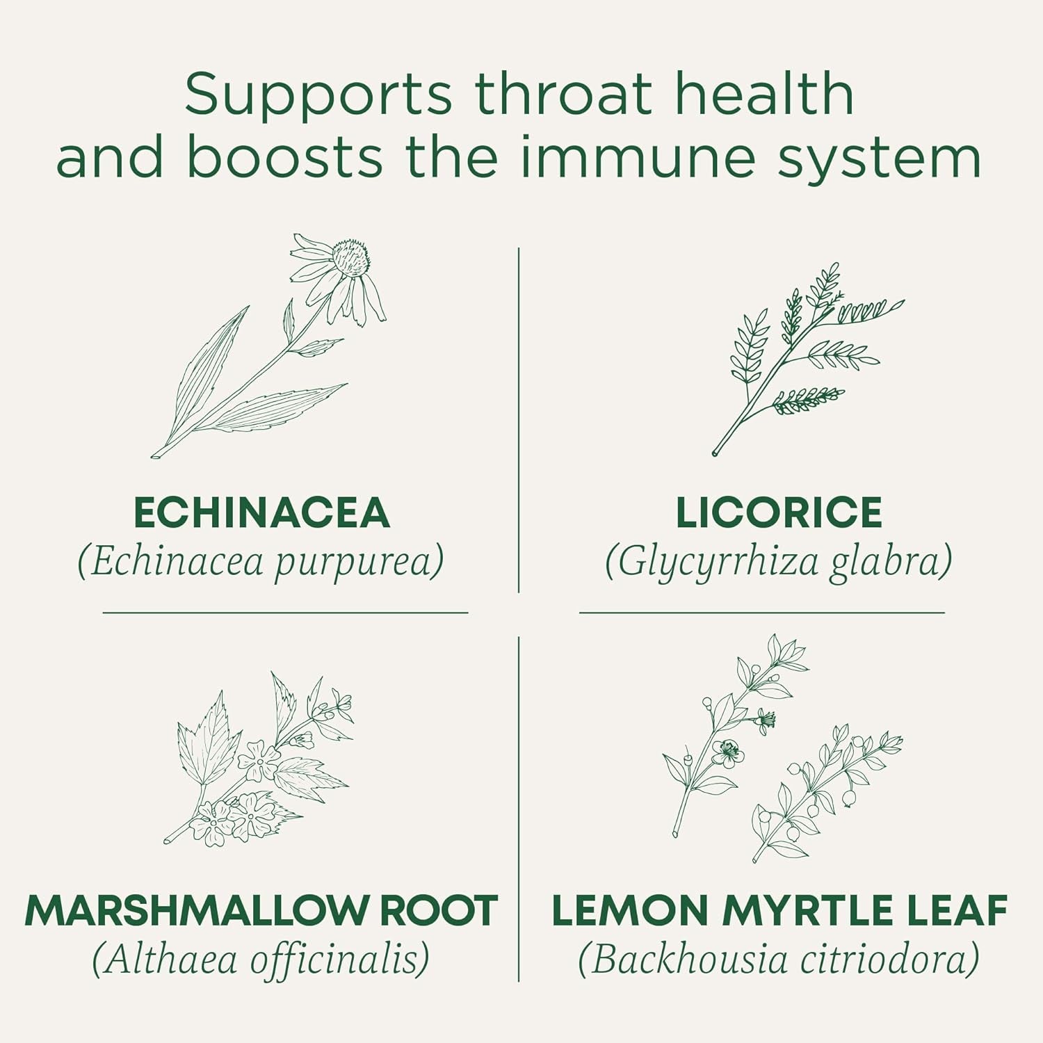 Tea, Organic Throat Coat Lemon Echinacea, Supports Throat Health & Immune Fuction, 16 Tea Bags TLBH