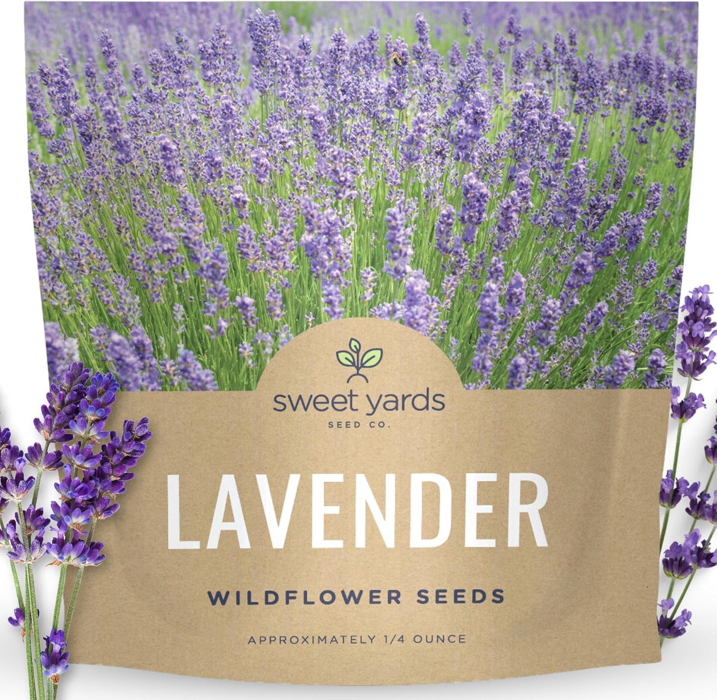Lavender - Large 1/4 Ounce Packet - 7,000 Flower Seeds for Planting - Lavandula Angustifolia TLBH