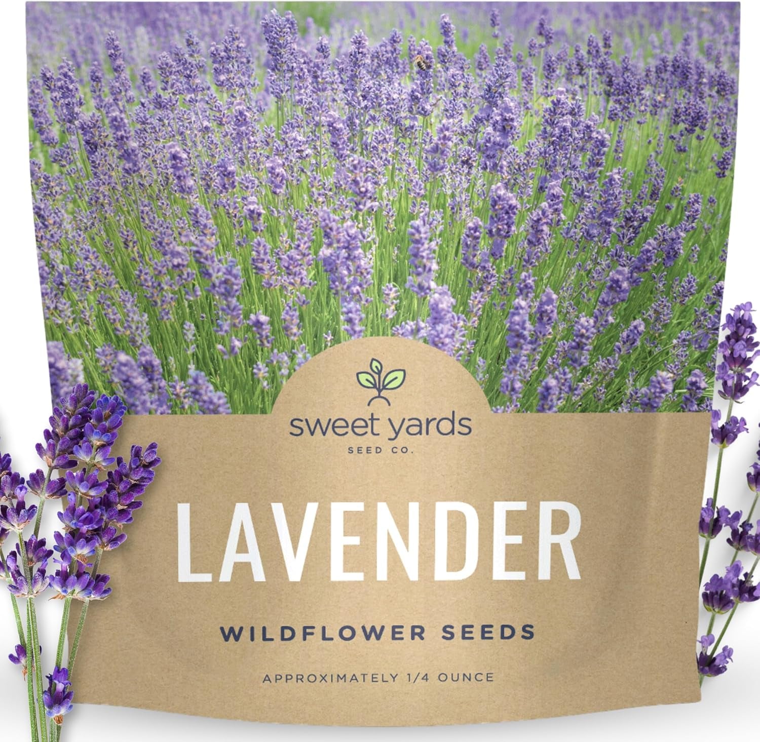 Lavender - Large 1/4 Ounce Packet - 7,000 Flower Seeds for Planting - Lavandula Angustifolia TLBH