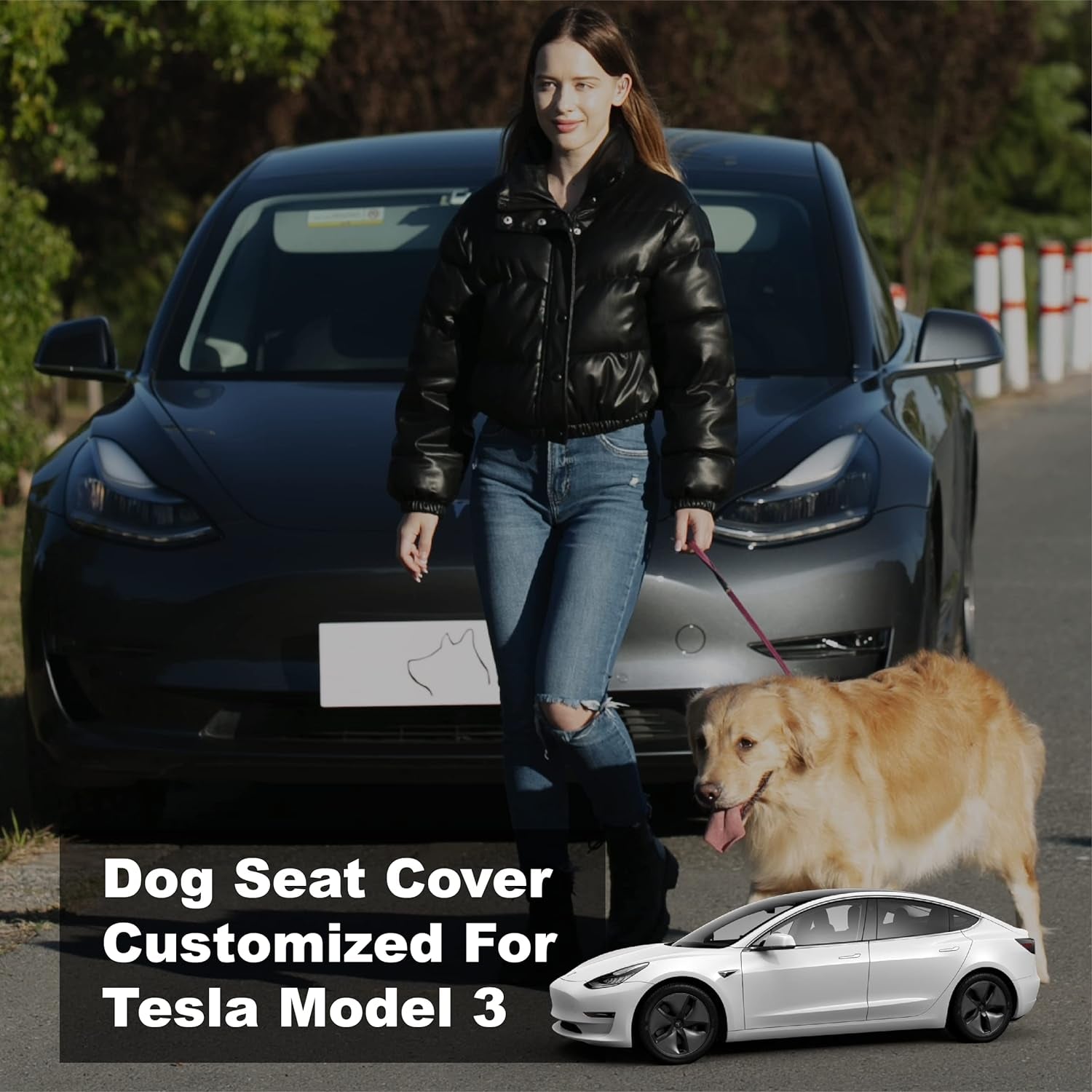 Dog Seat Covers for Back Seat, Dog Car Seat for Tesla Model 3, 100% Waterproof Pet Seat Cover Protects from Scratches, Scuffs, Dog Hammock for Tesla with Mesh Window & Headrest Protection