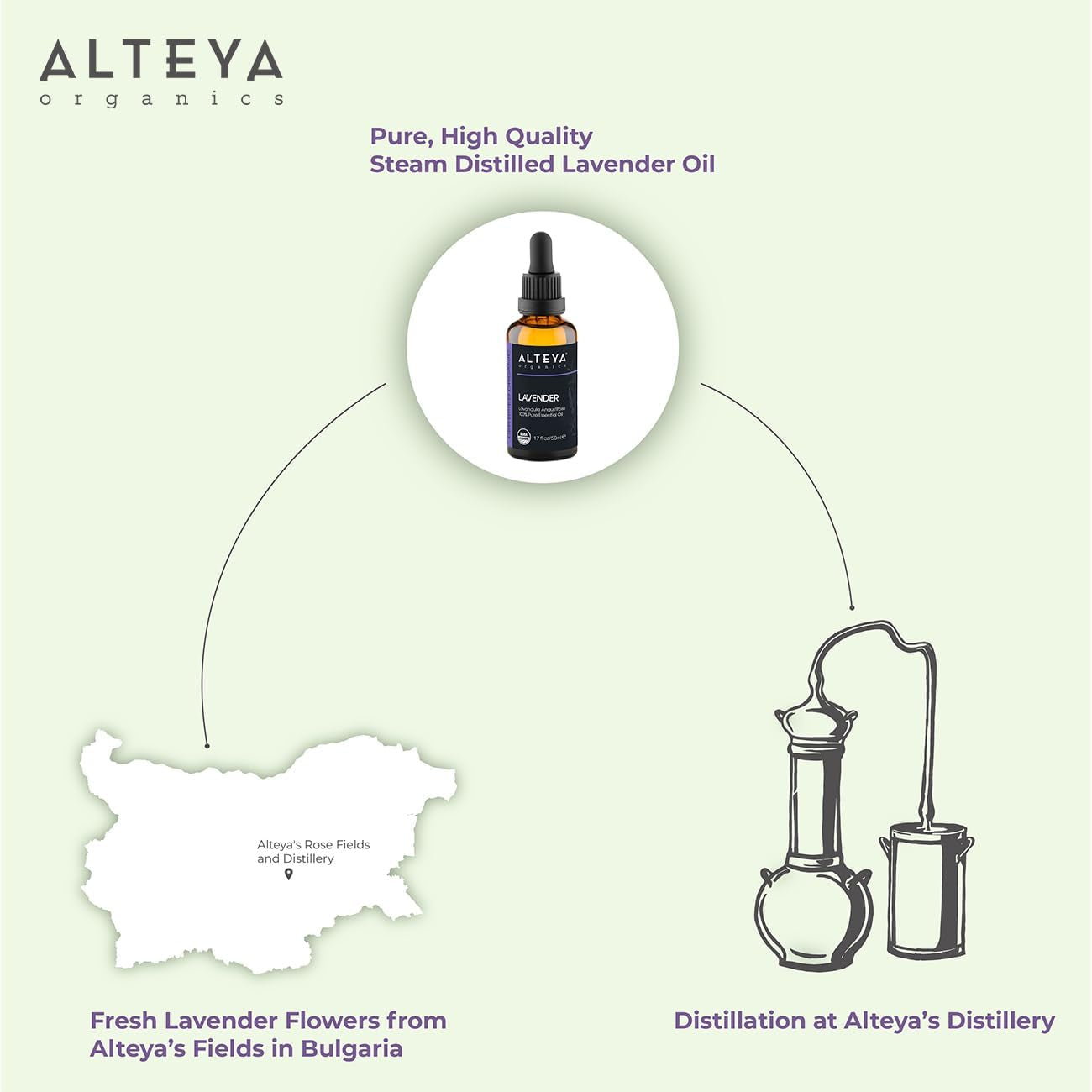 Organics Lavender Oil USDA Certified Organic Essential Oil, 3.4 Fl Oz/100 Ml Steam-Distilled Lavandula Angustifolia Aromatherapy Oil TLBH