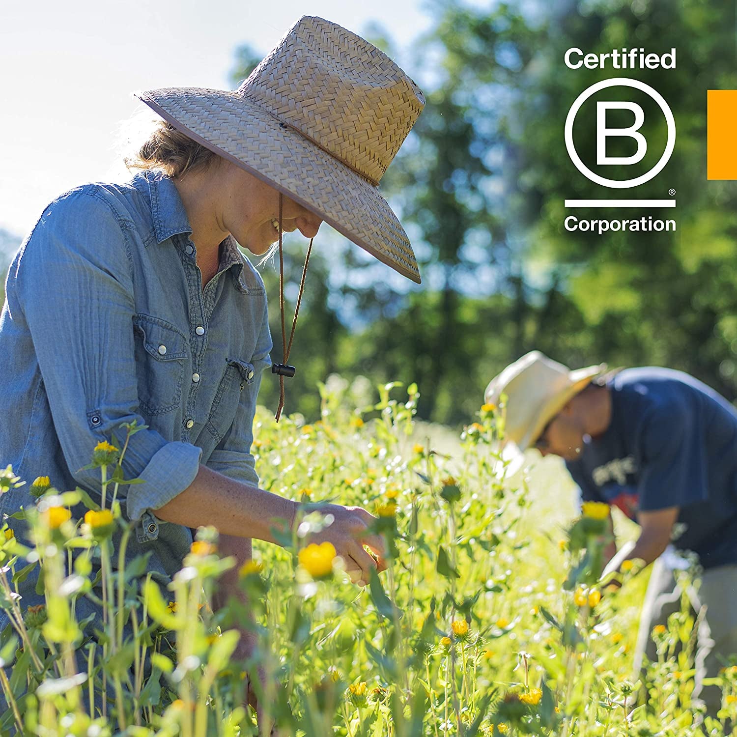 Certified Organic Super Echinacea Liquid Extract for Active Immune System Support - 4 Oz TLBH