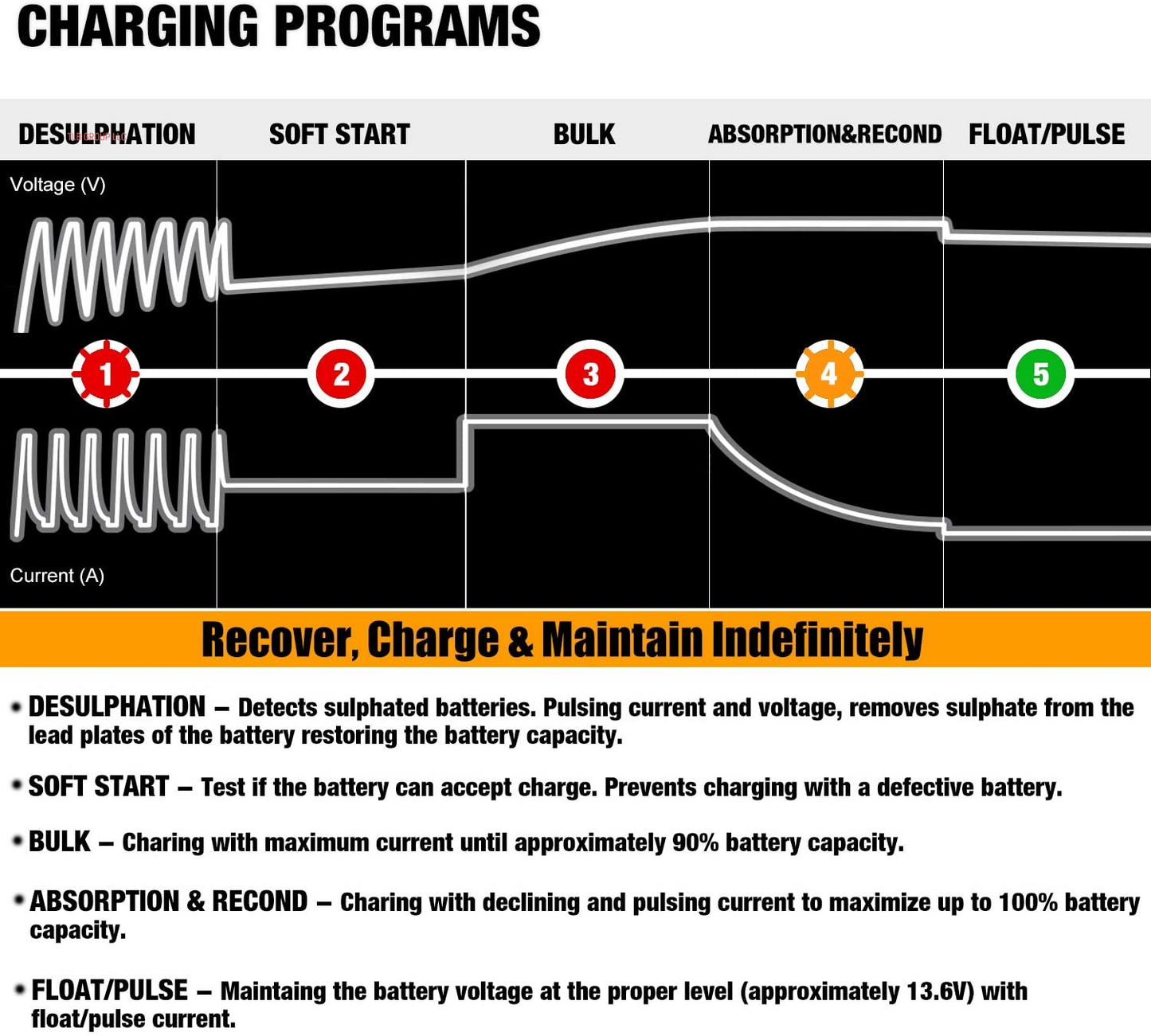MP00205A 12V 800Ma Automatic Battery Charger, Maintainer, Trickle and Desulfator