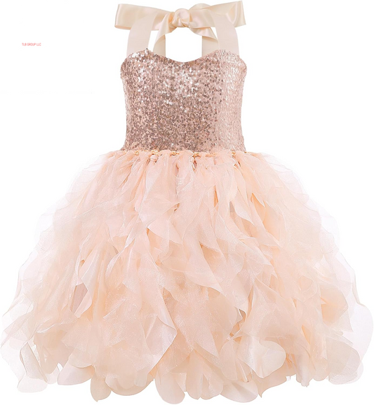 Tutu Dress for Girls Sparkly Sequin Tulle Princess Birthday Party Prom Outfit Toddler Girls Sneaker Ball Gown Dress