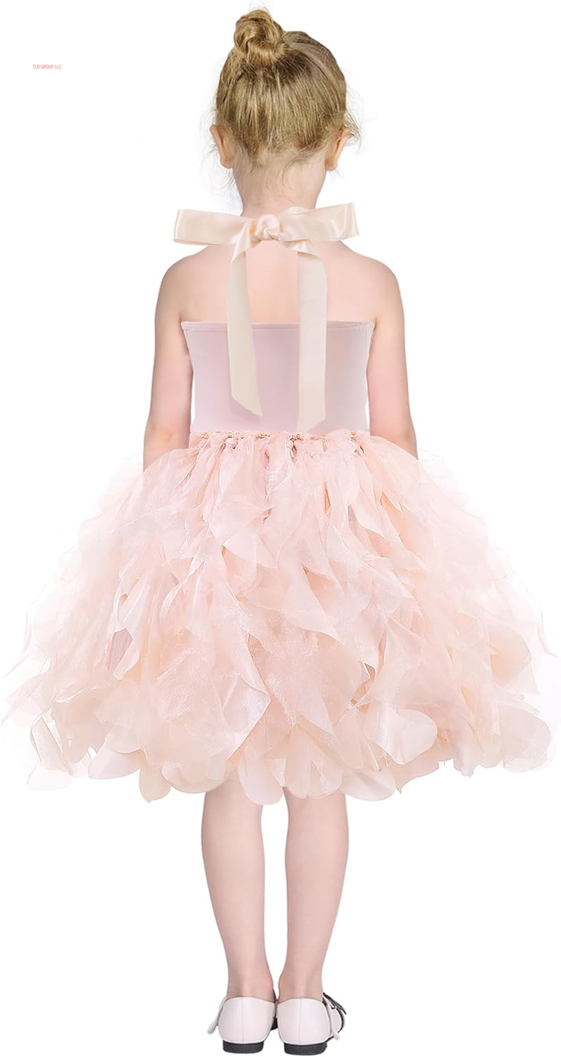 Tutu Dress for Girls Sparkly Sequin Tulle Princess Birthday Party Prom Outfit Toddler Girls Sneaker Ball Gown Dress