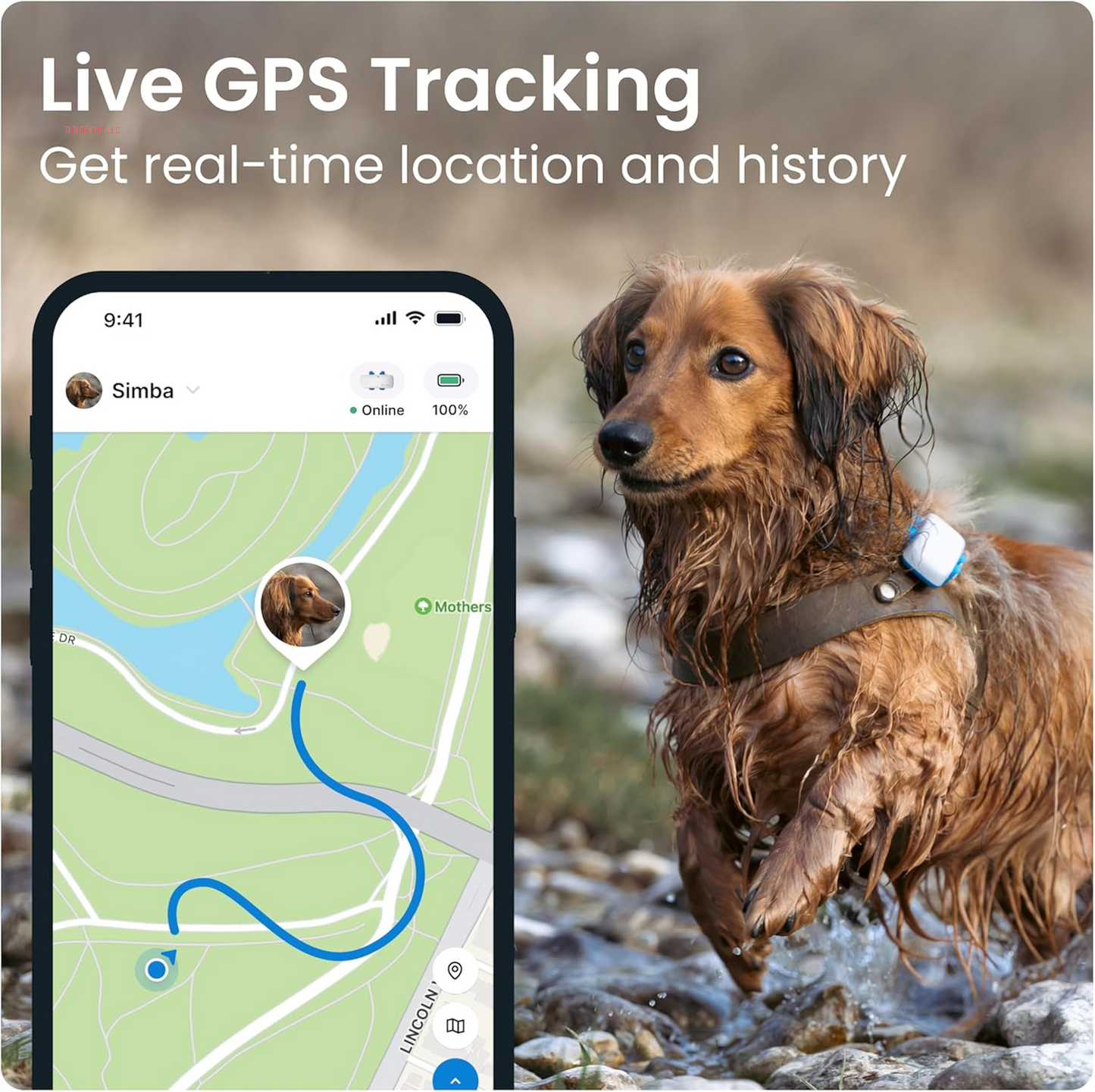 GPS Dog Tracker | Real-Time Pet Location Tracker | Health & Wellness Alerts | Virtual Fence for Dogs | Dog Collar Attachment (White)